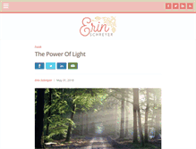 Tablet Screenshot of erinschreyer.com